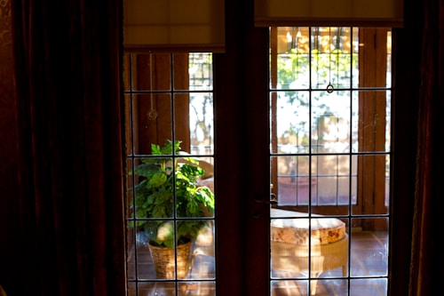 A sunlit room with a glass-paneled door and a view of an outdoor space. The sunlight illuminates a potted plant placed next to the door and casts intricate shadows. Curtains frame the doorway, and the indoor plant adds a touch of greenery.