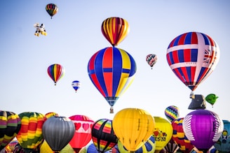 assorted-color hot air balloons