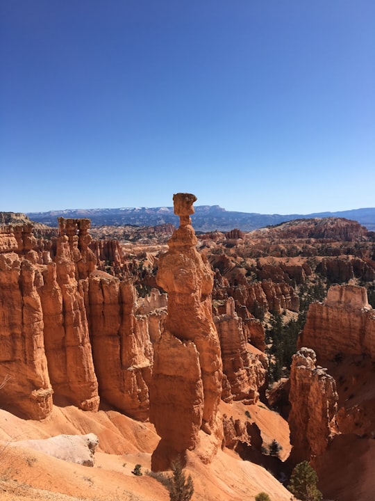 Bryce National Park, Utah in Bryce Canyon National Park United States