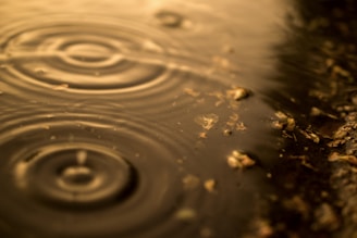 A powerful ripple spreading across a cracked earth surface, symbolizing seismic change.