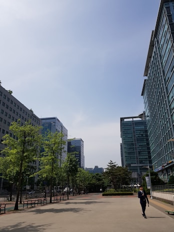 A cityscape with modern office buildings flanking a wide sidewalk lined with young trees. The sky is clear and blue, suggesting a sunny day. A person in business attire is walking along the sidewalk, adding a sense of movement to the otherwise calm scene.