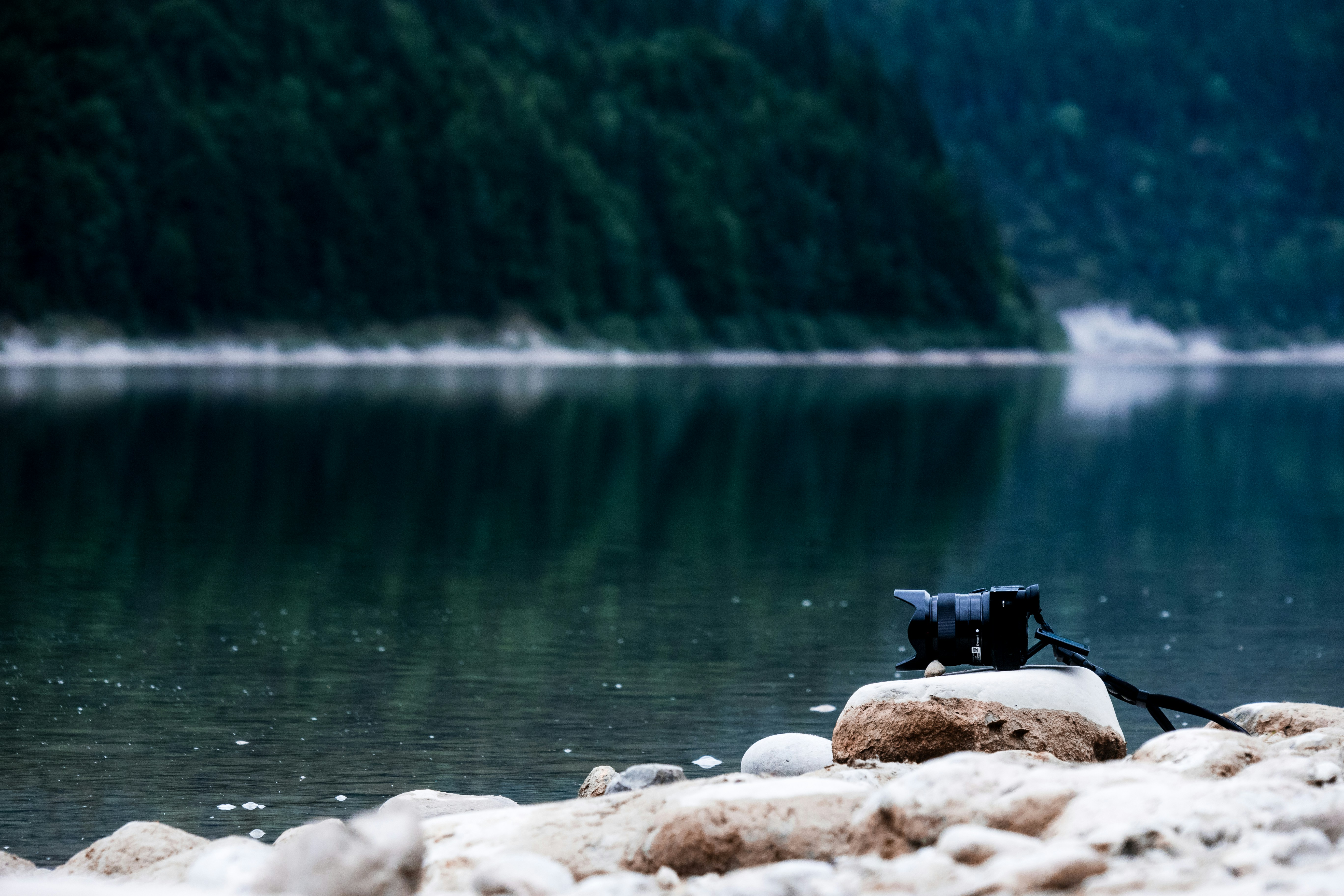 black DSLR camera near body of water