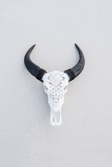white and black animal skull wall decor