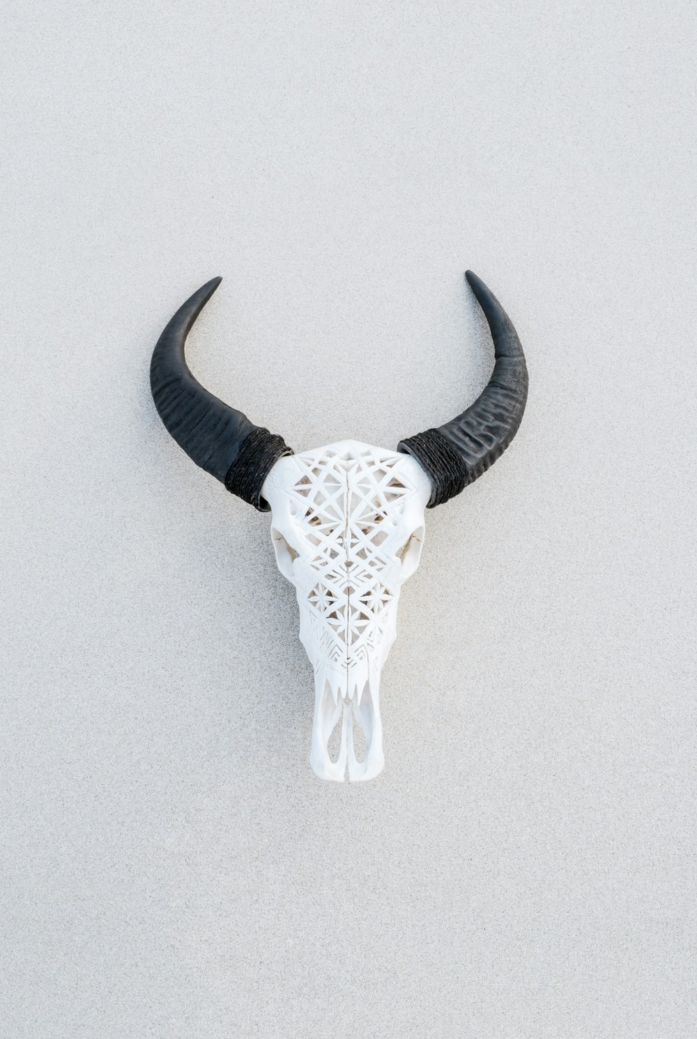 White And Black Animal Skull Wall Decor Photo Free Pendant Image