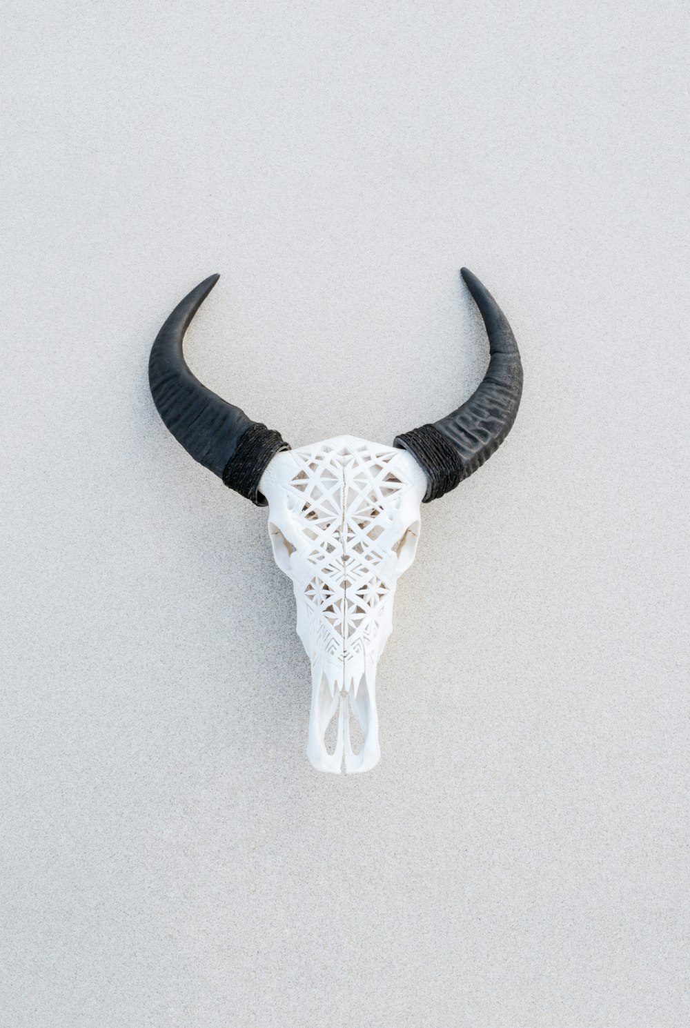 decoração branca e preta da parede do crânio do animal