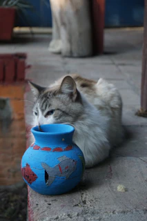 A cat peacefully resting next to a modern automatic water fountain on a wooden floor.