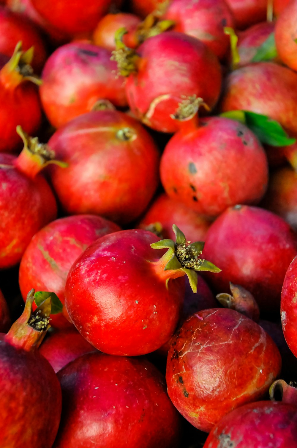 bunch of pomegranate