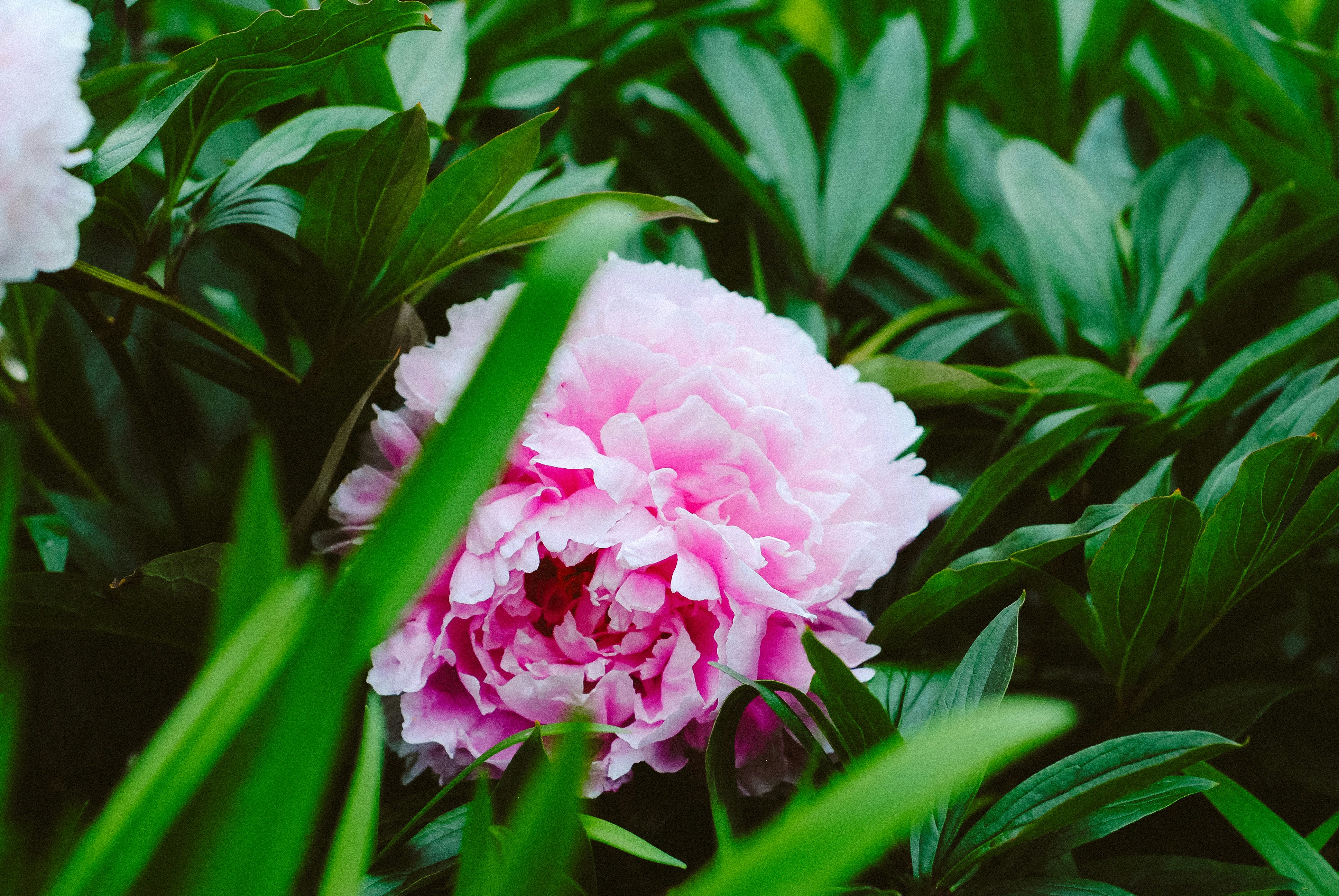 Photo by helloimnik
