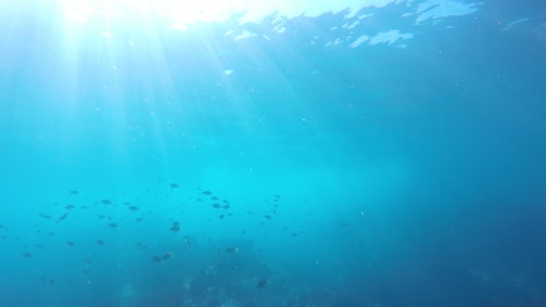 A serene underwater scene with sunlight filtering through blue ocean waves.