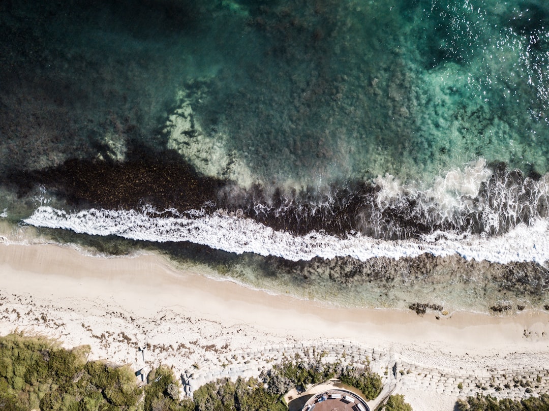 travelers stories about Beach in 37 Tourist Drive 204, Australia