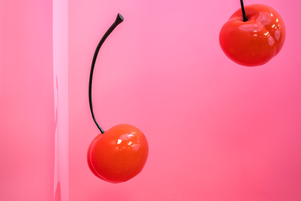 closeup photo of cherries