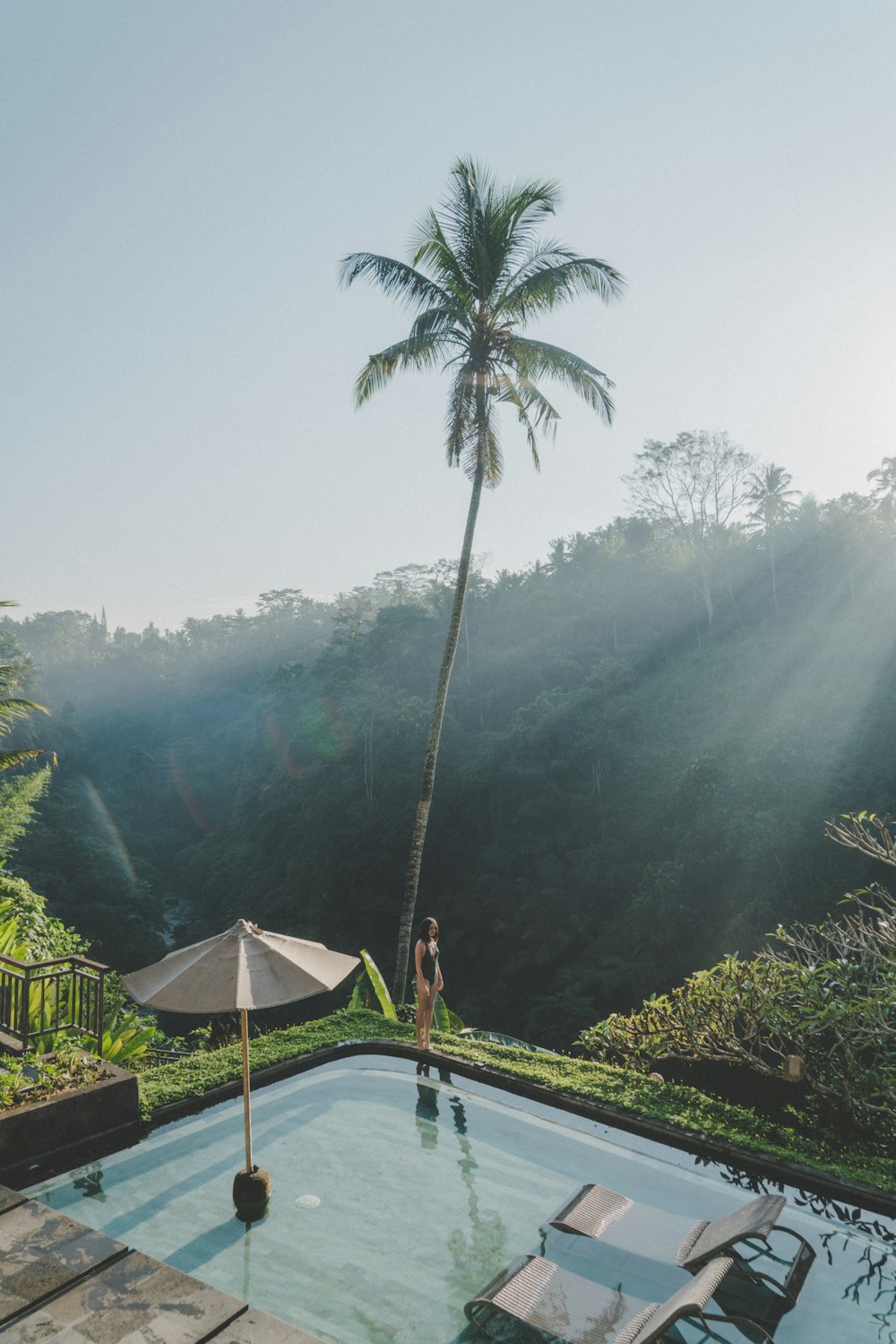 woman standing on pool edge near palm tree during daytime