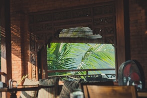 A cozy interior setting features a wooden table and chairs with patterned cushions, set against a decorative wooden wall and window. Sunlight filters through the partially open blinds, casting shadows and highlighting lush green palm leaves visible outside.