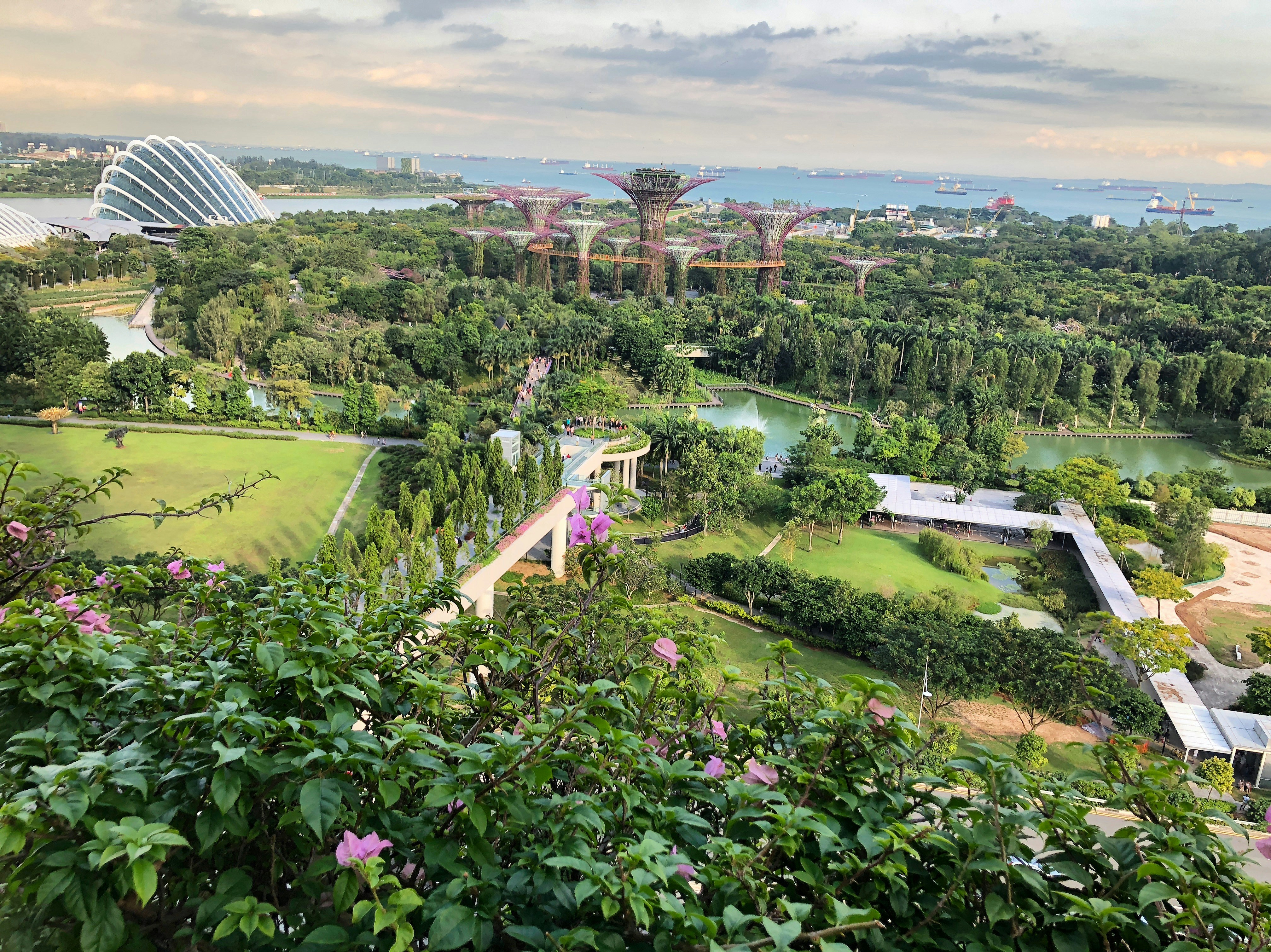 aerial photography of Gardens by the Bay, Singapore
