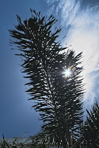 Revitalize Your Skin