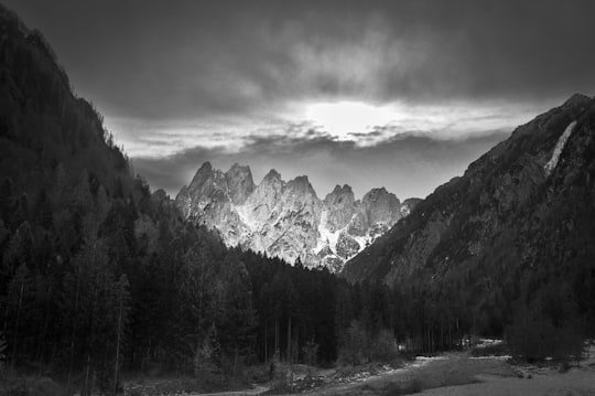 grayscale photography of mountain and trees in Studena Alta Italy