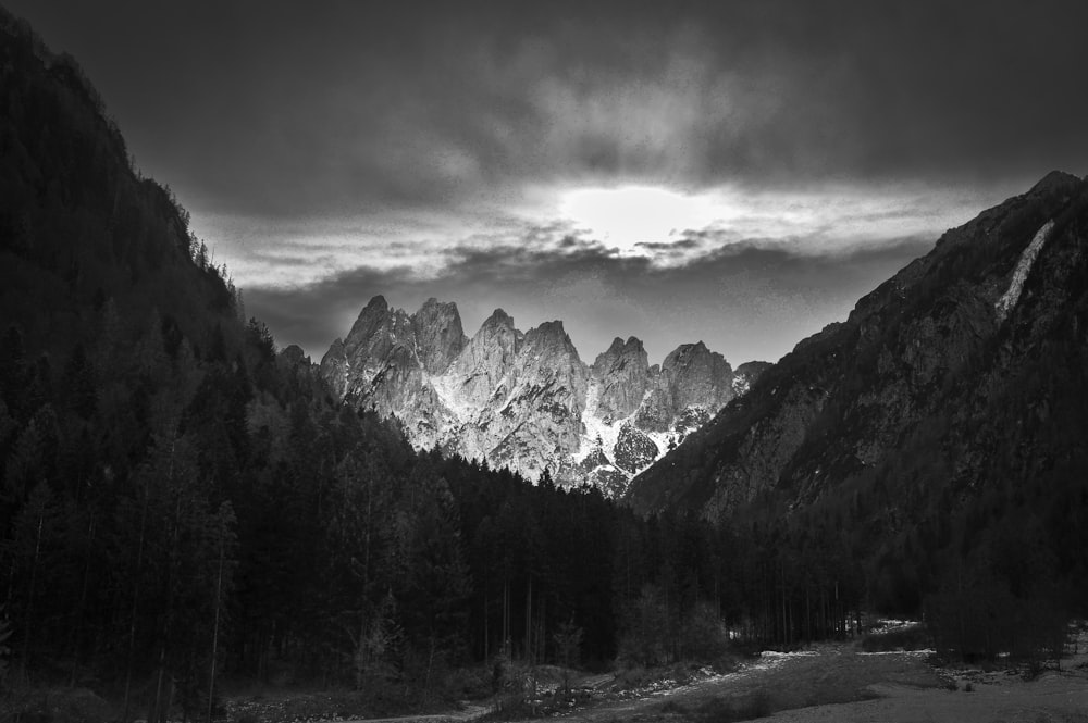 Graustufenfotografie von Bergen und Bäumen