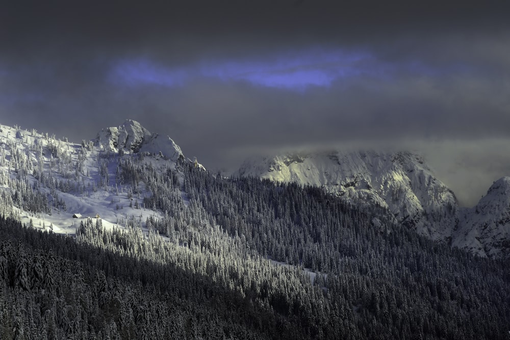 snow-covered mountains