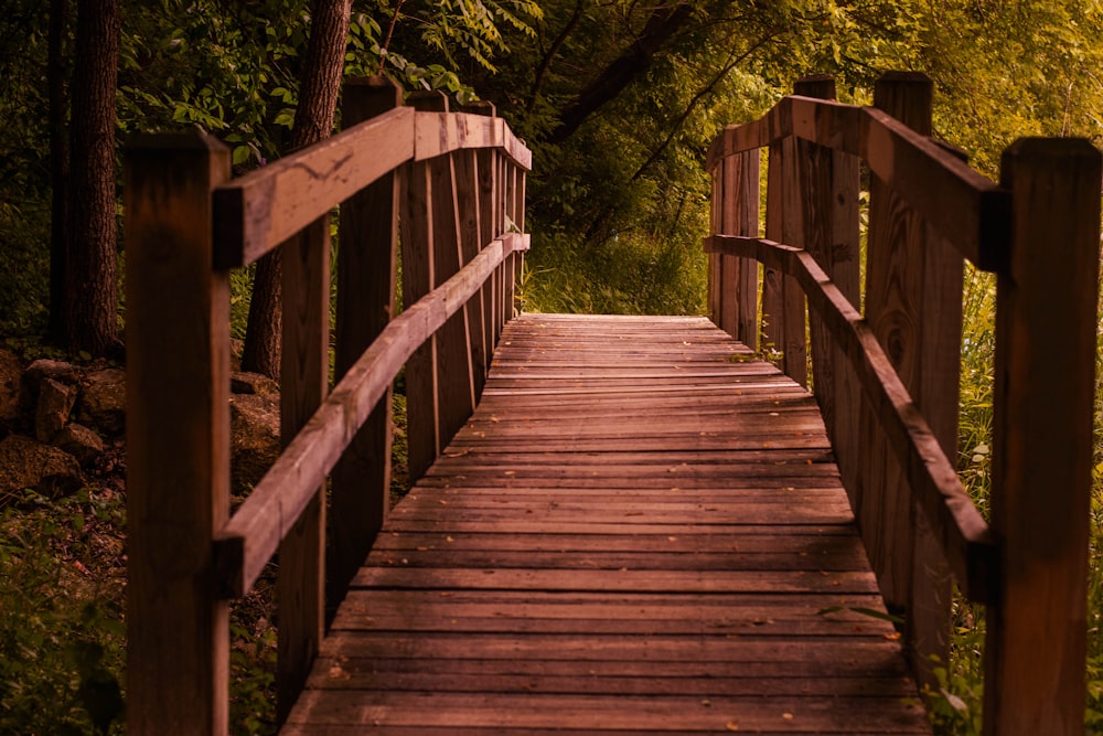 空っぽの茶色の木製の橋