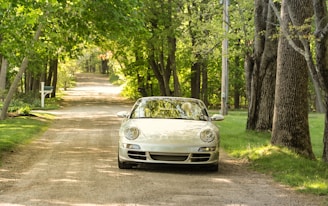 white vehicle traveling on road near forest