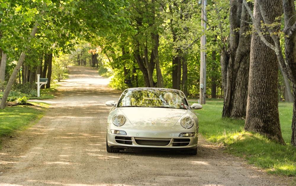 森の近くの道路を走行する白い車