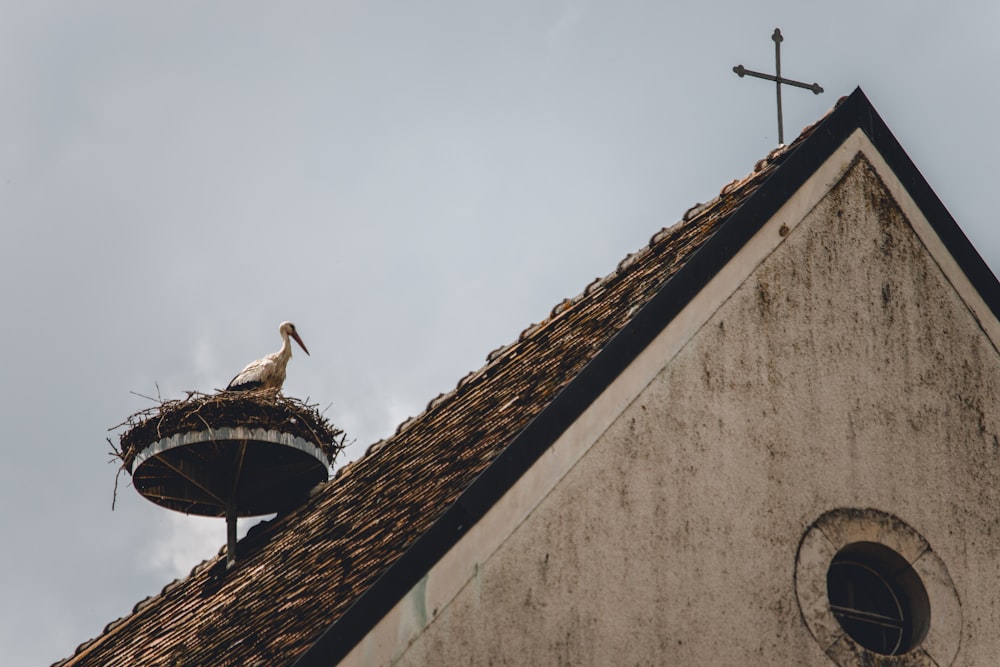 Iglesia bajo el cielo soleado