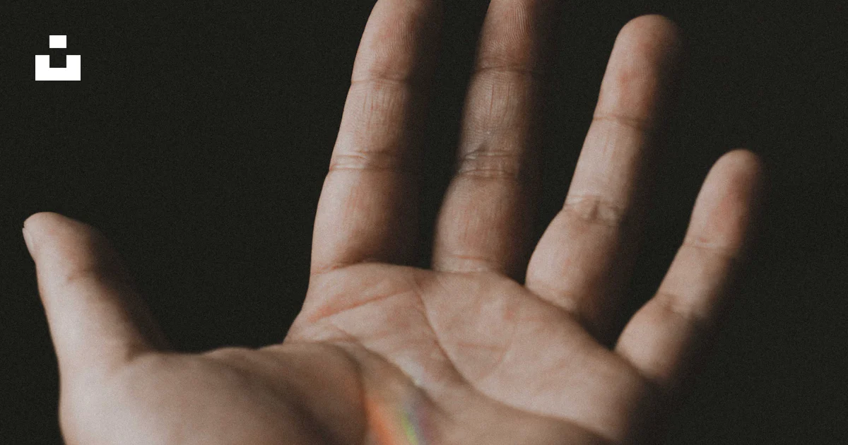 Person's left hand photo – Free Hands Image on Unsplash