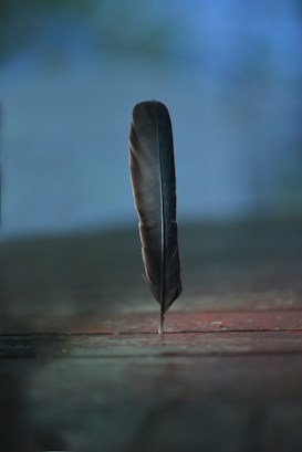 A single dark feather stands upright on a flat surface. The background is blurred with a gradient of blue and green tones, creating a serene atmosphere.