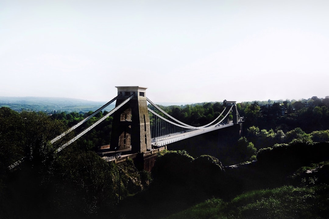 bridge surrounded by trees,