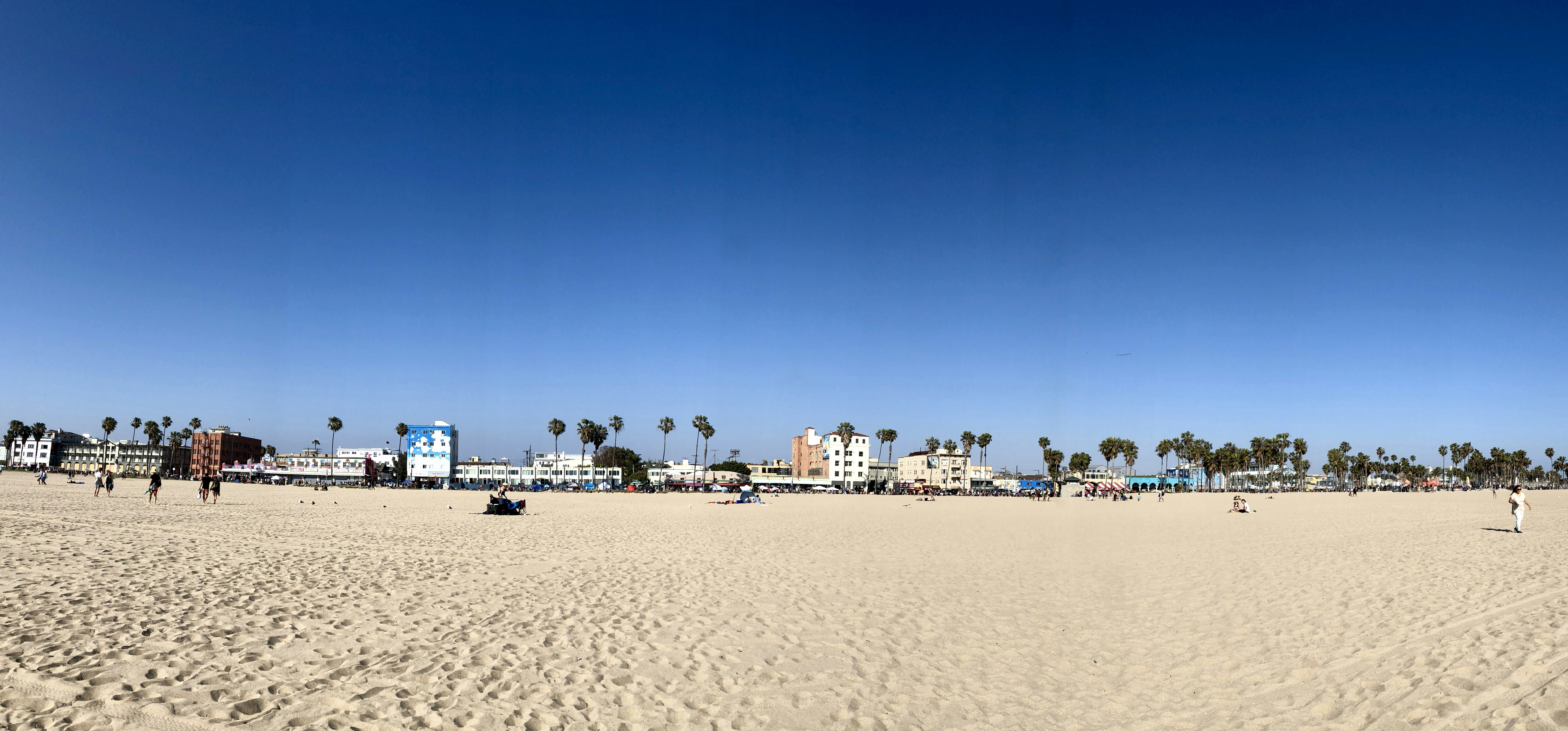 venice beach landscape