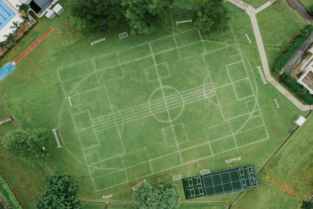 aerial view photography of trees