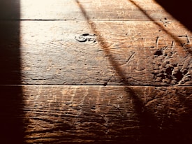 Photo 1529281798198 0a4793aa13cf?q=85&w=275&h=400&fit=crop