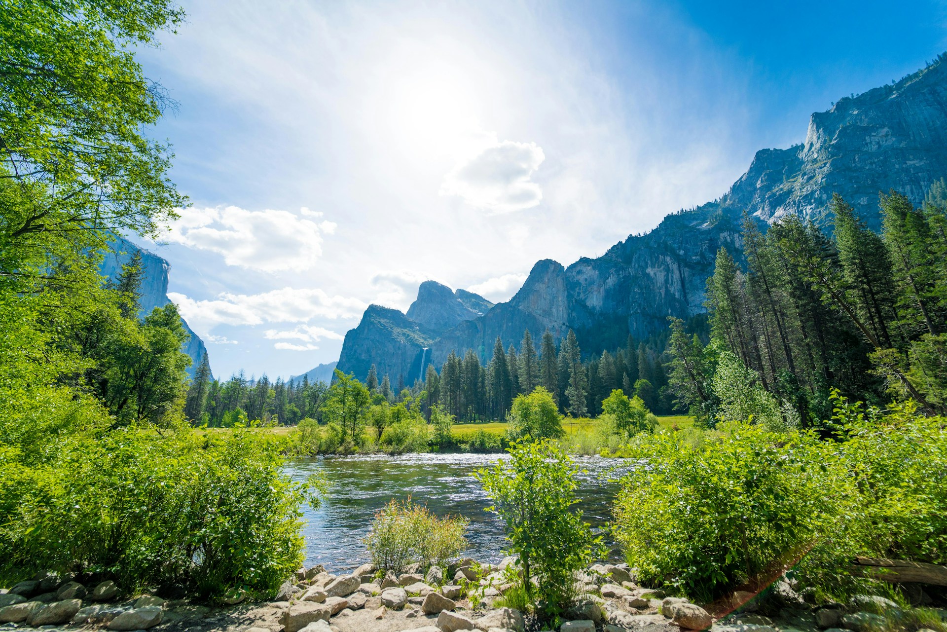 body of water surrounded by trees