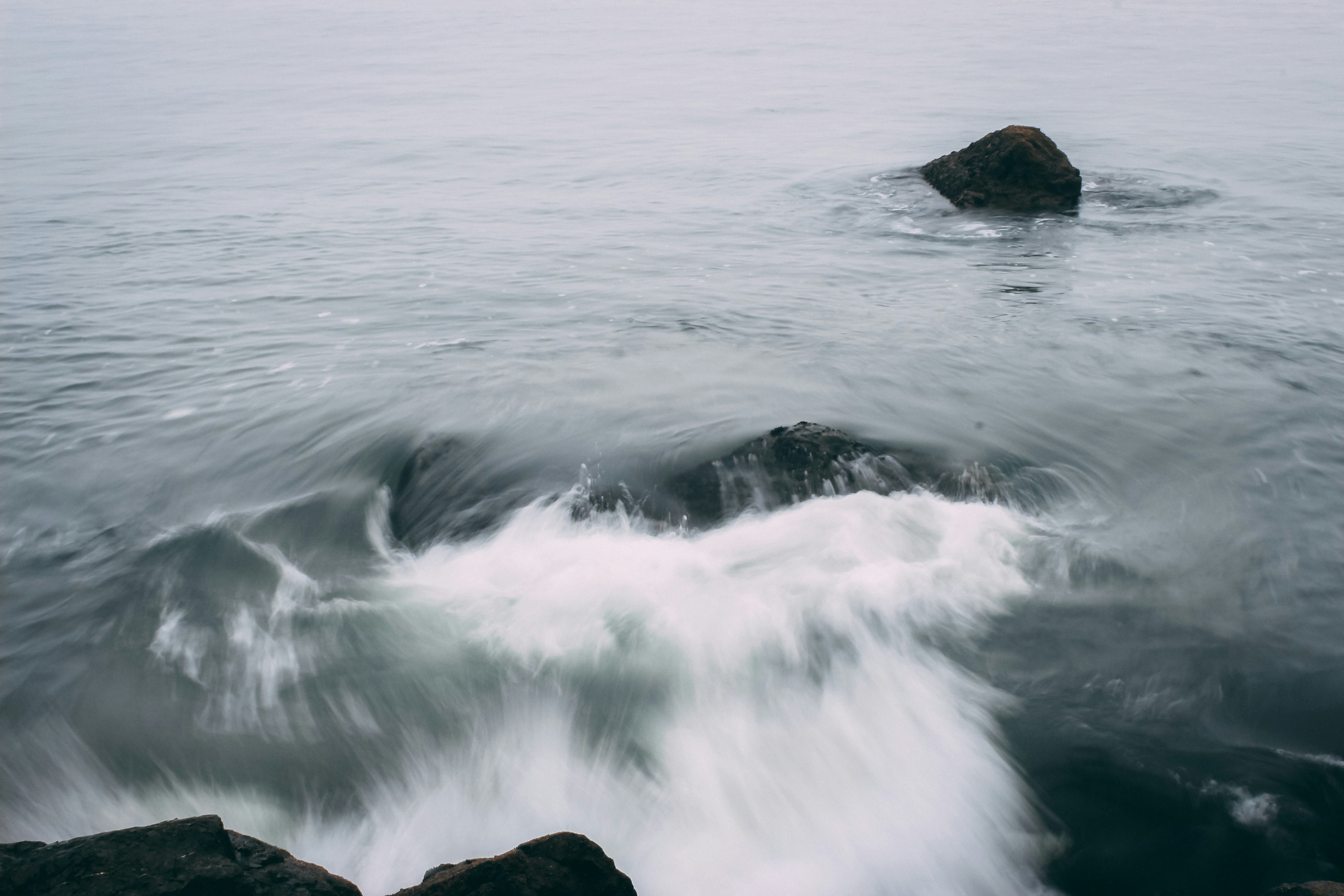 Photo by dbphotos_sf