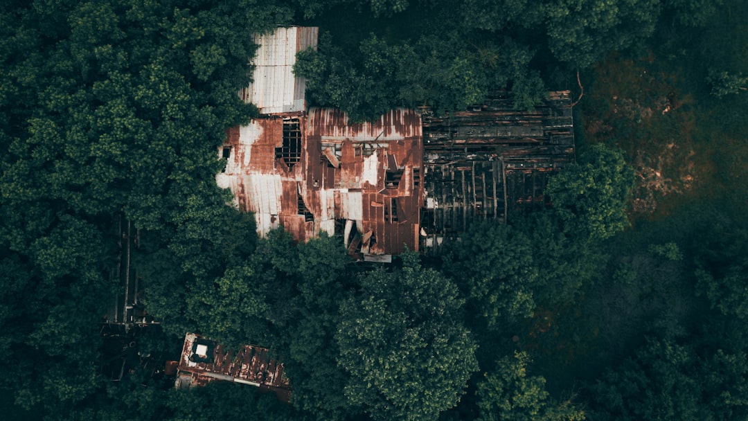 bird's-eye view photo of houses surrounded by trees