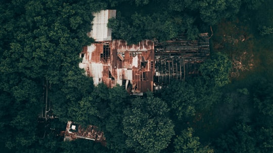 bird's-eye view photo of houses surrounded by trees in Oregon United States