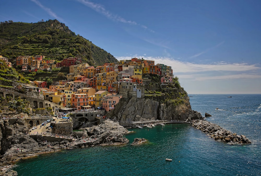 houses on hill near body of water