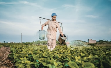 woman watering plants