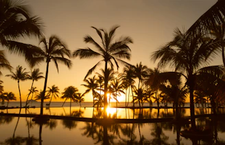 Sunset over De Leon Springs with palm trees and golden light reflecting on clear water.