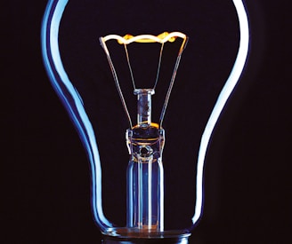 light bulb illustration