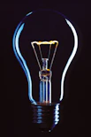 light bulb illustration