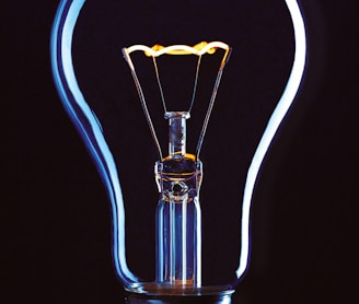 light bulb illustration