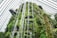 A lush indoor vertical garden features cascading waterfalls over dense, vibrant green foliage. A glass-ceiling structure allows natural light to flood the space, creating a refreshing and serene atmosphere. There are walkways and observation decks from which people can admire the verdant scenery.