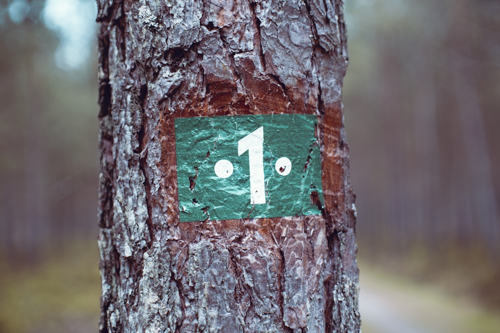 photo of brown tree trunk