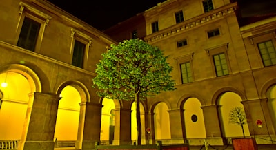 A corporate campus courtyard illuminated by synchronized light sequences creating a joyful atmosphere.