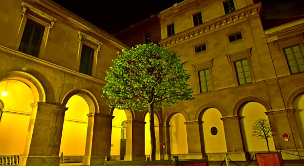 A serene university courtyard bathed in soft night blue and golden light, reflecting a minimalist European style.