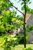 Sunlit villa facade showcasing intricate brick masonry with lush tropical plants.