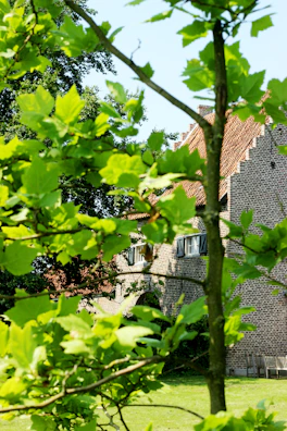 Sunlit villa facade showcasing intricate brick masonry with lush tropical plants.