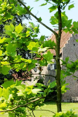 Elegant tropical villa exterior showcasing intricate brick patterns and lush greenery.