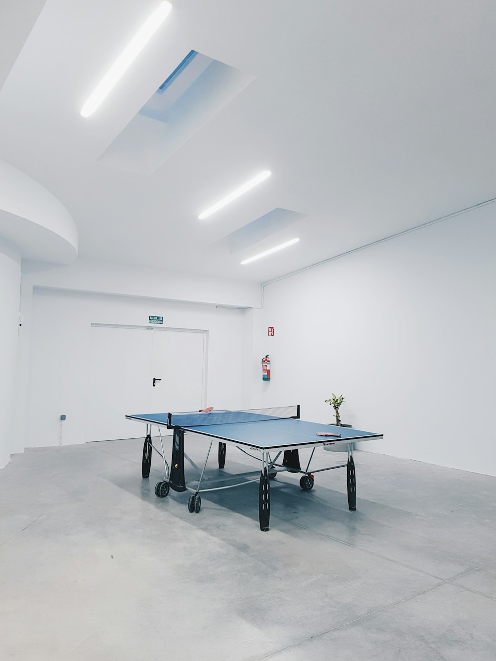 fotografia de tênis de mesa azul dentro de uma sala